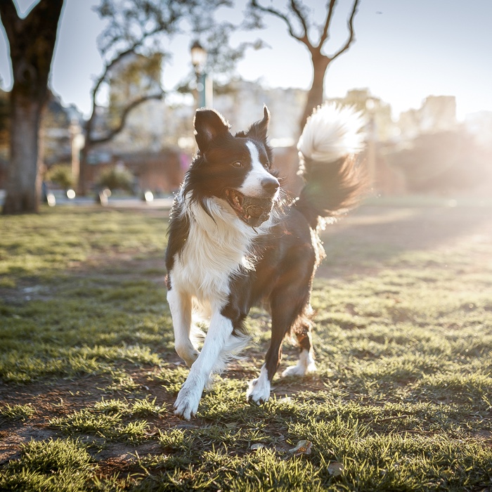 lage-gallery-thumbnail-5